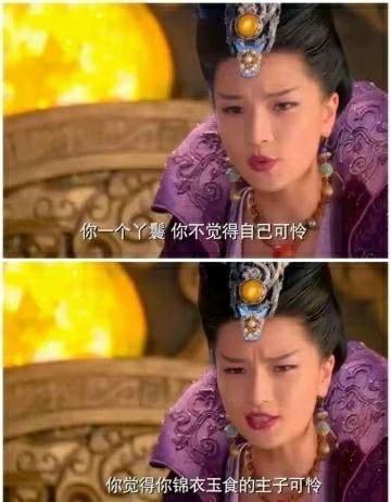 图片为上下两格的电视剧剧照对比，展示同一位身着紫色传统服饰、头戴华丽饰品的女性角色。上格台词：“你一个丫鬟 你不觉得自己可怜”，下格台词：“你觉得你锦衣玉食的主子可怜”，通过对话形成阶级认知的反差，带有讽刺意味。角色表情严肃，背景为古色古香的建筑装饰，整体呈现历史剧场景。