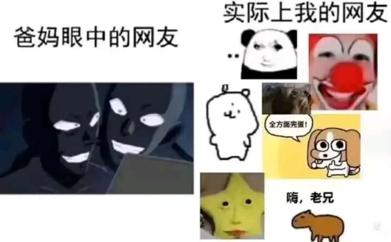 水豚