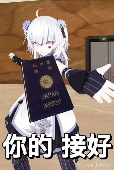 这是一张网友二次创作的玩梗图，画面主体是一位白发二次元少女，她的脸上贴着中国国旗贴纸，正伸手递出一本日本护照，图片下方配文“你的 接好”，通过角色的国旗贴纸和递出的日本护照形成反差感，制造戏谑的玩梗效果，图中没有双关、谐音梗等内容。