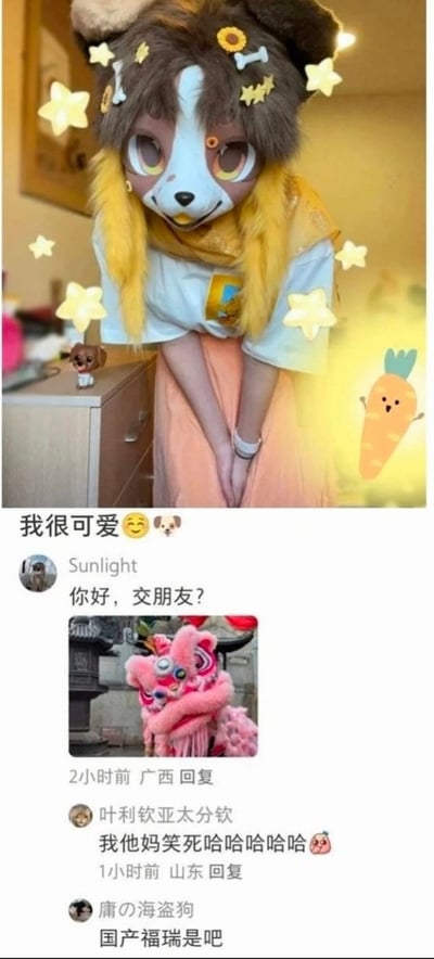 图片主体为一名穿着狗狗造型福瑞装的人物，福瑞装面部呈蓝白配色，有着超大圆眼睛，头顶装饰星星和骨头饰品，搭配黄色围巾和浅橙色裙子，背景可见室内环境及柜子上的小狗摆件。画面添加了闪烁星星特效和右侧发光胡萝卜卡通图案，整体风格可爱。下方为社交媒体评论区，包含“我很可爱 😊🐶”的主帖文字，以及网友回复“你好，交朋友？”“我他妈笑死哈哈哈哈”“国产福瑞是吧”等互动内容。
