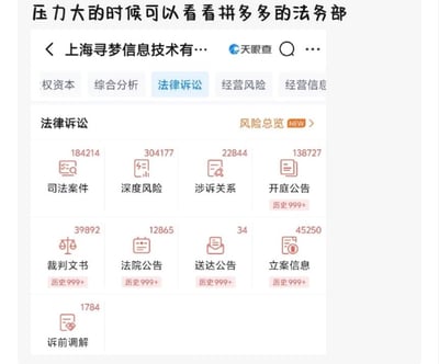 这张图是顶部配文加天眼查页面截图组成的梗图，顶部配文为“压力大的时候可以看看拼多多的法务部”，下方是天眼查平台上拼多多关联企业上海寻梦信息技术有限公司的法律诉讼板块页面，页面显示该公司司法案件达184214件、深度风险304177条、涉诉关系22844条、开庭公告138727条，另有裁判文书39892条、法院公告12865条、立案信息45250条等极多法务相关数据，多个类目均标注“历史999+”，通过展示拼多多法务需要处理的案件量极为庞大，调侃普通人的压力远不及拼多多法务的工作压力，起到搞笑解压的效果。