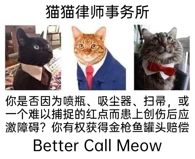 猫猫律师事务所成员