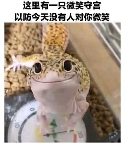图片展示了一只特写的守宫（壁虎），它有着圆溜溜的大眼睛和微微上扬的嘴角，看起来像是在微笑。守宫站在一个带有刻度的表盘上（可能是温湿度计），背景是 terrarium 中的颗粒状垫材。图片上方配有文字：“这里有一只微笑守宫 以防今天没有人对你微笑”，整体传递出温暖治愈的氛围，用萌宠的可爱表情给人带来好心情。