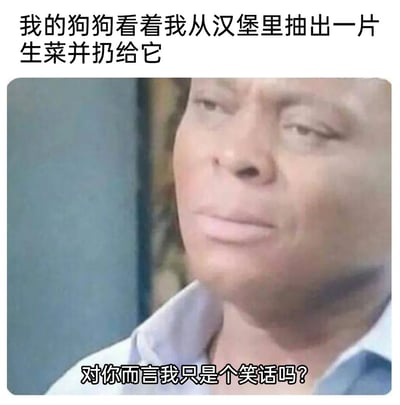 这是一张趣味梗图，上方文字描述了主人从汉堡里抽出一片生菜扔给狗狗的场景，下方搭配一个带着委屈、不满神情的真人脸部特写，并配文“对你而言我只是个笑话吗？”，以此模拟狗狗被投喂主人挑剩下的生菜时的心理活动，用人类的委屈神态来表现狗狗的不满情绪，通过拟人化的手法，调侃主人敷衍式投喂的行为，营造出搞笑的反差感，生动展现了宠物仿佛被“区别对待”时的怨念，容易引发养宠用户的共鸣。