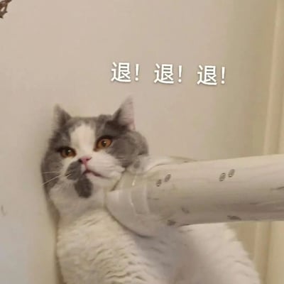 一只灰白相间的猫咪，有着橙黄色的眼睛，正抬起前爪做出推拒的动作，仿佛在用力推开面前的物体。猫咪表情专注，身体微微向后倾斜，背景为简洁的浅色墙面。图片上方配有白色文字‘退! 退! 退!’，模仿了网络上流行的‘退退退’手势梗，将人类的夸张动作与猫咪的可爱姿态结合，形成幽默搞笑的表情包效果。