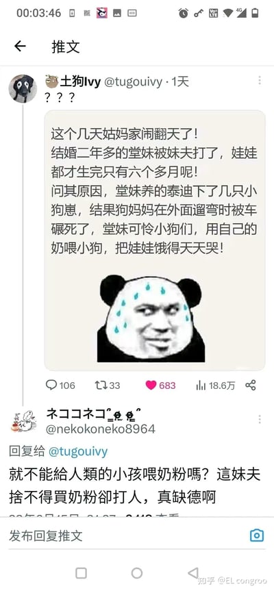 这是一张X（原推特）平台的社交媒体截图，用户@土狗Ivy发布了一则离谱的家庭八卦：刚生完孩子六个月的堂妹，因自家泰迪狗妈妈被车碾死，心疼刚出生的小狗崽，竟用自己的母乳喂养小狗，导致亲生孩子饿哭，因此被丈夫殴打，引发家庭矛盾。推文配有一个流汗的熊猫头表情包，传递出事件的离谱、无奈感。下方有网友@nekokoneko8964回复质疑，认为可以给孩子喂奶粉，指责妹夫舍不得买奶粉还打人缺德。整个内容围绕这一离谱的育儿争议事件展开讨论，无谐音梗、双关等特殊表达。