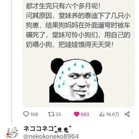 流汗熊猫头