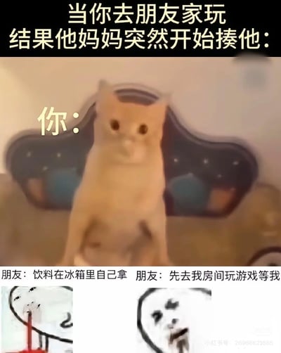 这张拼接梗图还原了极度尴尬的社交场景：当你到朋友家做客时，突然撞见朋友被妈妈教训，此时的你如同图中的猫咪一般，浑身僵硬、瞳孔放大，一脸震惊又手足无措；而被教训的朋友还强装镇定地招呼你「饮料在冰箱里自己拿」「先去我房间玩游戏等我」，搭配两个崩溃的抽象表情包，精准刻画出这种尴尬又好笑的瞬间，没有双关或谐音梗。