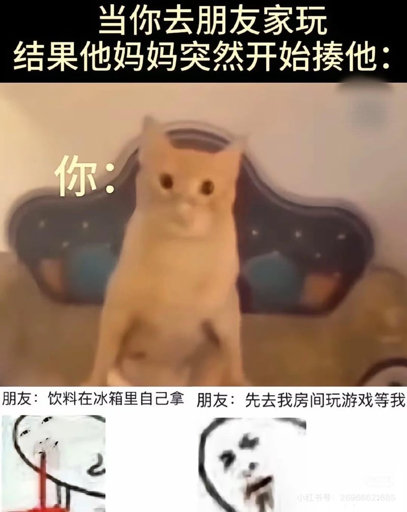 震惊猫咪