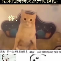 震惊猫咪