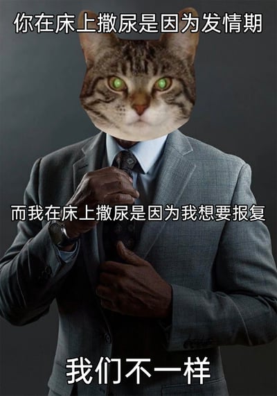 这是一张经过P图改编的搞笑梗图，将狸花猫的脸拼接在穿灰色西装整理领带的真人身体上，通过三段文字制造反差笑点：
1. 你在床上撒尿是因为发情期
2. 而我在床上撒尿是因为我想要报复
3. 我们不一样
模仿歌曲《我们不一样》的句式，把猫乱尿的生理本能和拟人化的刻意报复行为做对比，用严肃的拟人姿态搭配搞笑的吐槽内容，营造出荒诞幽默的效果，常用于调侃宠物乱尿或者表达自己的报复情绪。
