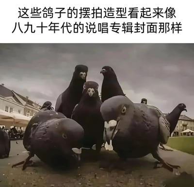 图片上方有一行文字：'这些鸽子的摆拍造型看起来像八九十年代的说唱专辑封面那样'。下方是一群鸽子的合影，它们的姿势和排列方式确实很像经典说唱专辑封面上的人物造型。鸽子们有的站立、有的略微倾斜身体，形成了一种有层次感的组合，配合略带复古色调的滤镜，整体呈现出类似老派说唱专辑封面的氛围。背景中可以看到模糊的建筑物和户外场景。