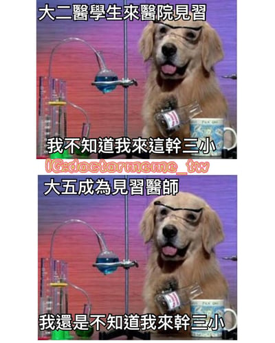 这是一张上下两格的对比梗图，上方格子标题为“大二医学生来医院见习”，下方格子标题为“大五成为见习医师”。两格均使用同一张金毛犬图片，狗狗被画上了黑色粗框眼镜，表情看似淡定，嘴里叼着一个标有“WARNING”的瓶子，背景是实验室常见的烧杯、试管等器材。两格图片下方都配有相同的文字“我不知道我来这干三小”（闽南语，意为“我不知道我来这里干什么”），通过医学生从大二见习到大五成为见习医师，依然对自身工作内容感到迷茫的对比，幽默自嘲了医学学习过程中的困惑与无奈。