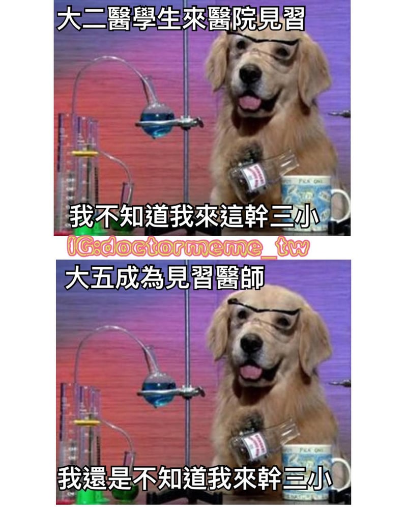 狗