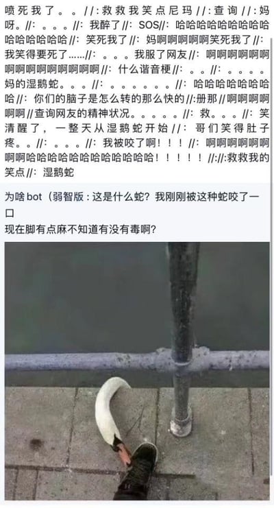 这是一张图文混排的搞笑梗图，上方是大量网友的爆笑评论，内容多是被这个荒诞的梗逗得捧腹大笑，还有人玩梗假装自己被图里的“蛇”咬了，询问是否有毒；下方的实拍图是视觉错位效果：一只鹅的脖子搭在人的鞋面上，从特定角度看像是一条蛇咬在了人的脚上。

谐音梗说明：“湿鹅蛇”是“什么蛇”的谐音，结合视觉错位的画面，把鹅的脖子伪装成蛇，制造出无厘头的搞笑效果，引发网友的趣味玩梗和调侃。