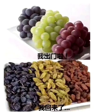 这是一张上下对比的静态趣味梗图，上半部分展示了三串色泽饱满、形态圆润的新鲜葡萄，分别为深紫色、青绿色和紫红色，下方配有文字“我出门啦！”，模拟人出门时的鲜活状态；下半部分则对应摆放着三种颜色的葡萄干，分别是深黑色、黄绿色和红棕色，形态干瘪皱缩，配文“我回来了...”。图片以葡萄经过晾晒变成葡萄干的自然变化，幽默夸张地类比人在炎热的夏日出门后，被太阳暴晒得肤色变深、状态蔫瘪的样子，用生活化的食物变化来调侃夏日暴晒的“威力”，充满诙谐的趣味，容易引发有过类似经历的人的共鸣。