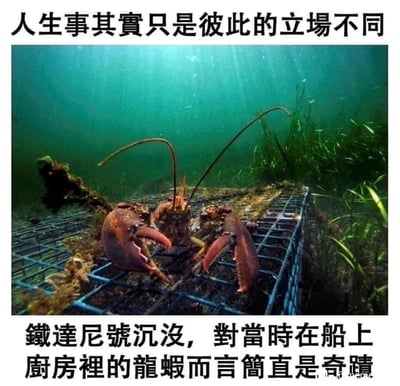 这是一张充满反差感的幽默梗图，采用顶配底文的图文混排形式。上方配文点明核心观点“人生事其实只是彼此的立场不同”，下方配文则用具体场景诠释：“铁达尼号沉没，对当时在船上厨房里的龙虾而言简直是奇迹”。图片主体是一只龙虾趴在水下的金属笼架上，模拟泰坦尼克号沉船的场景，将人类历史上的著名灾难事件，反转成即将被烹饪的龙虾的逃生奇迹，通过极端的立场反差制造搞笑效果，生动诠释了不同视角下对同一事件的完全不同认知。