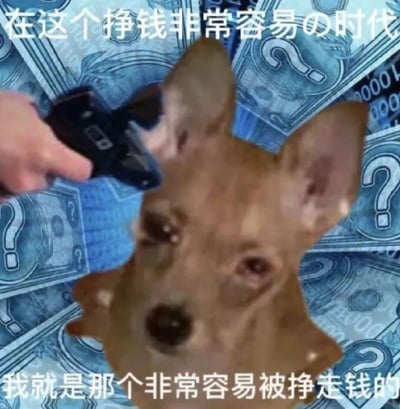 这是一张经过二次创作的网络表情包，背景铺满印着问号的钞票图案，营造出与金钱相关的氛围；画面中心是一只眼睛含泪、表情委屈无助的狗狗，一只手拿着枪指着它的头部。搭配上下两行文字“在这个挣钱非常容易の时代”“我就是那个非常容易被挣走钱的”，以反讽和自嘲的口吻，精准表达了当下很多人面对看似赚钱机会众多的时代，却始终留不住钱、容易冲动消费或被动花钱的无奈与窘迫，极易引发打工人、月光族的情感共鸣。
