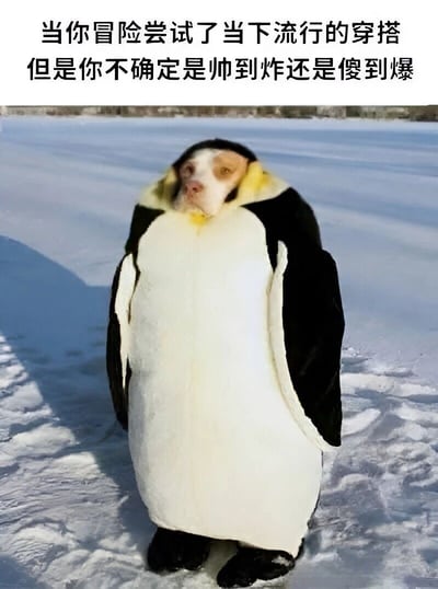 图片中一只狗站在雪地上，身穿黑白相间的企鹅服装，黄色的领子露出。狗的表情看起来有些困惑和不确定。图片上方配有文字：“当你冒险尝试了当下流行的穿搭但是你不确定是帅到炸还是傻到爆”，幽默地表达了人们尝试新潮穿搭后对自身造型效果的怀疑心态。