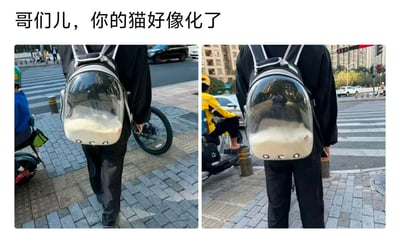 这是一组左右拼接的街头实拍图，图中行人背着透明宠物外出背包，包里的浅色猫咪因为趴在包底，从背面视角看过去，猫咪的形态像是融化成了液态物质。图上方配文“哥们儿，你的猫好像化了”，利用视觉错位的效果制造出荒诞搞笑的趣味梗，让观者产生猫咪真的融化了的错觉，十分有趣。