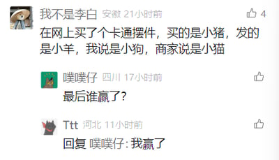 这是一张社交媒体评论区的截图，用户“我不是李白”分享了自己的网购乌龙经历：购买的小猪卡通摆件，收到的实物被不同主体认知为不同动物，自己买的是小猪，收到的是小羊，自己觉得是小狗，商家却说是小猫。网友“噗噗仔”好奇提问“最后谁赢了？”，另一位用户“Ttt”回复“我赢了”，这个回复让整个乌龙事件的互动更添趣味，充满调侃意味。