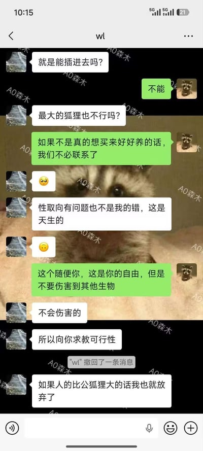 这是一张竖版微信聊天记录截图，聊天背景是小浣熊的照片，整张图遍布“A0森木”的水印。聊天中的买家看似咨询狐狸售卖问题，实则询问能否与狐狸发生性行为，还追问最大的狐狸是否可以满足其需求，甚至辩称自己的这种诉求是天生的性取向问题，还提出如果人类的尺寸比公狐狸大就放弃该想法。卖家明确表示如果不是想要好好饲养狐狸就无需再联系，同时提醒对方不要伤害其他生物。整张图内容荒谬离谱，曝光了试图对动物实施性虐待的变态言论。