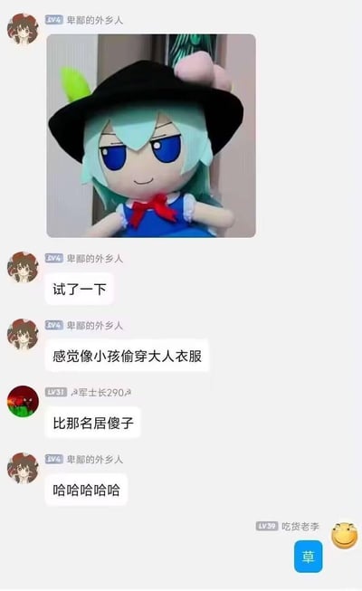 这是一段ACG爱好者社群的聊天记录截图，用户「卑鄙的外乡人」分享了一张东方Project角色比那名居天子的毛绒玩偶（fumo）的照片，称自己给玩偶试穿了衣服，感觉像小孩偷穿大人衣服；群友「军士长290」调侃玩偶是「比那名居傻子」，引发分享者的大笑；最后用户「吃货老李」发送了「草」和滑稽表情，整体氛围轻松搞笑，是东方Project同好之间的趣味互动。