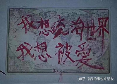 这张图以印有世界地图的旧纸品为背景，用红色类似颜料的笔触写下两行醒目文字：“我想统治世界”“我想被爱”。看似张扬的野心表述，与渴望被关怀的柔软诉求形成强烈反差，直白地袒露了一种矛盾又真实的内心状态——在向外彰显强大欲求的同时，藏着向内渴求被爱、被关注的孤独感。