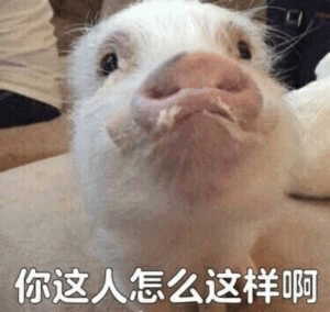 委屈猪小表情：你这人怎么这样啊
