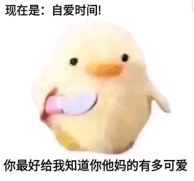 这是一张静态图文混排的P图改编表情包，主体是一只黄色的毛绒小鸭，小鸭手持类似刀具的物品，表情呆萌平静，却搭配着带有强硬口吻的文字。上方文字为“现在是：自爱时间！”，下方文字为“你最好给我知道你他妈的有多可爱”，通过呆萌形象与硬核语气的强烈反差，以一种搞笑又温暖的方式传递出要自我肯定、学会自爱的治愈情绪，适合在日常聊天中用来鼓励自己或者给朋友打气，没有双关、谐音梗等内容，核心是倡导自我认可的正向观念。
