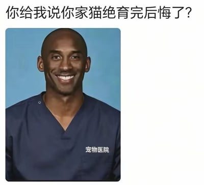 这张表情包采用图文混排形式，顶部配有文字“你给我说你家猫绝育完后悔了？”，下方是经过PS修改的篮球运动员科比·布莱恩特的肖像，他被修改为穿着印有“宠物医院”字样的深蓝色医护工作服，面带微笑看向镜头，整体内容用来讽刺那些在给宠物做完绝育手术之后反悔、向宠物医院提出不合理诉求的宠物主人，呼应了网络上流传的同类奇葩养宠人事件。