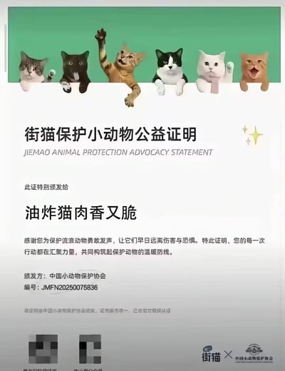 这是一张二次创作的公益证明梗图，顶部是六只神态各异的卡通猫咪，分别是平静的虎斑猫、严肃的黑猫、亢奋抬手的橘猫、淡定的黑白奶牛猫、温和的白猫、惊讶张嘴的橘猫，均趴在绿色边框上。证明主体为「街猫保护小动物公益证明」，但颁发对象却是「油炸猫肉香又脆」，与保护小动物的公益主题形成强烈反差，用反讽手法制造搞笑效果；下方标注了颁发方为中国小动物保护协会、证书编号，底部有马赛克处理区域和「街猫×中国小动物保护协会」的联合标识，整体是对官方公益证明模板的玩梗改编。