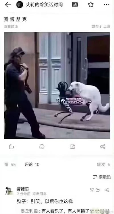 这是一张来自社交媒体账号“艾莉的冷笑话时间”的搞笑内容截图，标题为“赛博朋克”。图中呈现了一个巧合的现实场景：一名男子手持设备在前方操控一台四足机器狗，一只白色的真狗刚好趴在机器狗的后半部分，从视觉上形成了“真狗的上半身+机械义体下半身”的奇特效果，完美呼应了“赛博朋克”的主题。下方的互动数据显示该内容获得55赞、10条评论、5次转发，热门评论来自用户“带锤哥”，内容为“狗子：别笑，以后你也这样”，另一条评论“墨丘利殿：有人看乐子，有人照镜子”进一步延伸了这个梗，用黑色幽默的方式调侃未来人类可能也会像画面中的狗一样使用机械义体，让这个巧合的画面充满了对赛博朋克世界观的趣味解构。