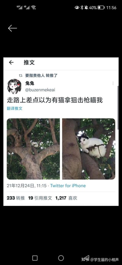 推特用户“兔兔”发布的一组趣味对比图，远看时树上的黑白猫因位置与花纹的巧合，视觉上酷似拿着狙击枪瞄准地面路人的狙击手，近看则是一只平静趴在树枝上的普通黑白猫咪。这种有趣的视觉错觉制造出荒诞又搞笑的笑点，让路人产生被“猫狙击手”瞄准的奇妙联想，引发了网友的喜爱与转发。