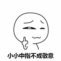 小小中指不成敬意表情包
