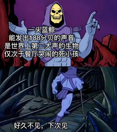 图片为上下两格连环漫画，使用《宇宙的巨人希曼》中的反派角色骷髅王（Skeletor）形象。上格中，骷髅王身着紫色兜帽与盔甲，背景为紫色天空和红色岩石，摊开左手、右手食指指向上方，配文‘一头蓝鲸能发出188分贝的声音是世界上第二大声的生物仅次于餐厅哭闹的死小孩’，以夸张对比吐槽餐厅小孩哭闹声巨大。下格中，骷髅王转身在黑暗洞穴状环境中奔跑逃离，配文‘好久不见，下次见’，形成幽默收尾。整体通过严肃角色与生活化吐槽的反差制造喜剧效果。