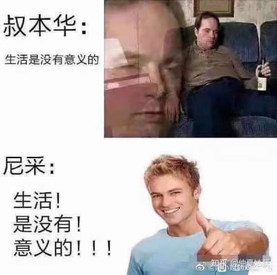 这张梗图通过并列展示两位哲学家对“生活无意义”的不同表达方式。上半部“叔本华”代表一种无力又消极的态度，下半部“尼采”用强烈的语气和身势配合，夸张地强调“生活！是没有！意义的！！！”对比中形成强烈幽默感，常用来调侃人生、吐槽鸡汤话语。此 meme 经常用于网络讨论压力、生活困惑时活跃气氛。

本图用对比和“电子竞技体”断句，加重喜感和反差，有暗示生活鸡汤与现实落差的意味。