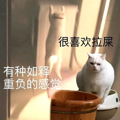 图片展示了一只表情严肃的白猫坐在猫砂盆上，背景墙上有一个猫的影子。图片上有两行文字："很喜欢拉屎"和"有种如释重负的感觉"。这种将人类情感和行为归因于动物的表现方式创造了幽默效果，猫的严肃表情与文字内容形成有趣对比。