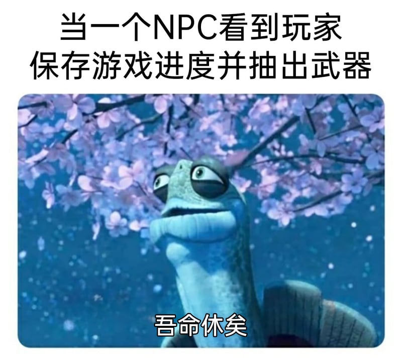 乌龟大师