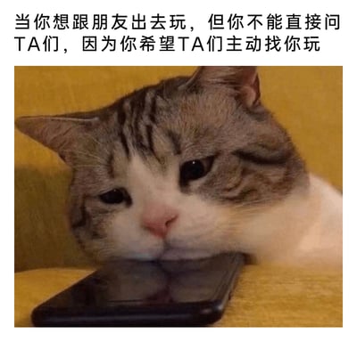 这是一张贴合日常社交情绪的表情包，上方配文精准描述了很多人都会有的纠结心态：内心渴望和朋友一同外出游玩，却碍于面子不愿主动开口邀约，只能默默等待朋友先发来消息。图中的猫咪将下巴抵在手机上，眼神委屈又带着期待，完美还原了这种既期待又拉不下脸的微妙情绪，让看到的人很容易产生共鸣。