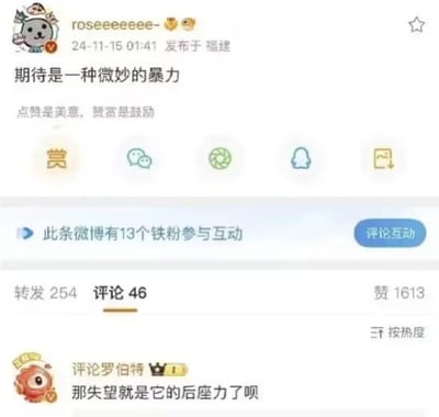 这是用户“roseeeeeeee-”在微博发布的一条内容，主文为“期待是一种微妙的暴力”，并补充“点赞是美意，赞赏是鼓励”。截图显示了发布时间（2024-11-15 01:41）、地点（福建），以及互动数据：转发254次、评论46条、点赞1613次，并有13个铁粉参与互动。评论区顶部显示用户“评论罗伯特”的留言“那失望就是它的后座力了呗”。界面包含点赞、评论、转发、赞赏、保存等功能按钮。