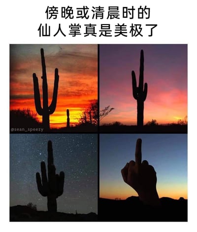 这是一张四格拼接的搞笑梗图，顶部配文“傍晚或清晨时的仙人掌真是美极了”。前三格依次展示了橙红色黄昏、粉紫色黄昏、星空夜幕下的巨型荒漠仙人掌剪影，呈现出自然景观的静谧美感；第四格则是整活内容，有人在黄昏背景下用手摆出竖起中指的姿势，利用剪影效果完美模仿仙人掌的形态，与前三格的唯美氛围形成强烈反差，打破观众的预期，制造出荒诞搞笑的喜剧效果。