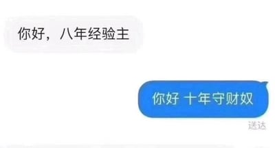 这是一张单张静态的聊天记录截图，画面中只有两个对话气泡和右下角的状态文字。上方白色气泡是消息发送方的内容“你好，八年经验主”，此处的“八年经验主”指代拥有八年工作经验的职场从业者；下方蓝色气泡是回复方的回应“你好 十年守财奴”，是一种自嘲式的趣味回复，用“十年守财奴”对应对方的称呼，形成了有趣的互动效果，右下角的“送达”字样表明该回复消息已成功发送给对方。