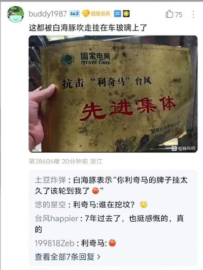 这是一张百度贴吧的用户发帖截图，发布者为ID是buddy1987的用户，发布地点为浙江，获赞75。帖子配图是一只手拿着一块污渍遍布的金色牌匾，牌匾为国家电网颁发的“抗击‘利奇马’台风先进集体”荣誉牌，发帖人配文称这块牌匾是被台风“白海豚”吹走后挂在车玻璃上被发现的。帖子下方有多条网友评论，纷纷调侃台风白海豚是来“接班”，让当年的利奇马台风相关荣誉“让位”，也有网友感慨距离利奇马台风已经过去7年，看到这块牌匾十分有感触。