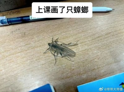 暂无描述