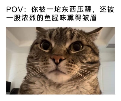 这是一张图文混排的搞笑宠物梗图，上方配文以第一视角描述场景：“POV：你被一坨东西压醒，还被一股浓烈的鱼腥味熏得皱眉”，下方是一张近距离拍摄的狸花猫特写照片，猫咪睁着圆溜溜的大眼睛，表情严肃又带着无辜感直视镜头，仿佛就是那个压在人身上、刚吃完鱼带着浓烈腥味的“一坨东西”，精准戳中养猫人日常被猫咪黏人、自带食物气味“骚扰”的有趣瞬间，营造出无奈又好笑的氛围。