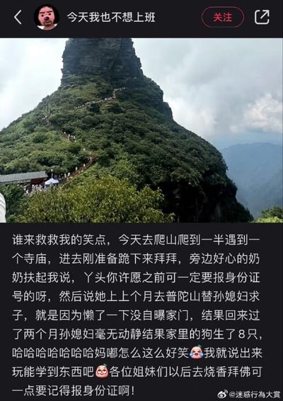 这是一张社交媒体截图，内容为用户“今天我也不想上班”分享的爬山趣事。图片上方是一张陡峭山峰的照片，山峰上有蜿蜒的登山步道和茂密植被。下方配文讲述了作者爬山时遇到寺庙，一位奶奶提醒她许愿要报身份证号，原因是奶奶之前在普陀山替孙媳妇求子未报家门，结果家里的狗生了8只，引发搞笑效果。整体风格轻松幽默，充满生活趣味。