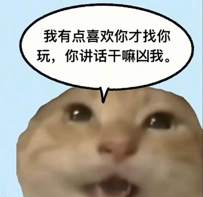 图片为一只橘猫的脸部特写，猫咪眼睛睁大，嘴巴微张，表情看起来有些委屈和困惑。上方有一个黑色边框的白色对话框，里面写着：“我有点喜欢你才找你玩，你讲话干嘛凶我。” 整体画面通过猫咪的表情和文字结合，生动表达了一种因喜欢对方而主动接近，却被对方语气凶到的委屈情绪。