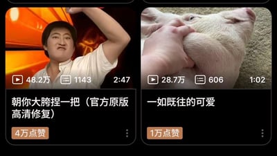 左侧为一名男子做出夸张动作的视频截图，标题为'朝你大胯捏一把（官方原版高清修复）'，显示有48.2万播放量和4万点赞；右侧为一只小猪被人抚摸下巴的视频截图，标题为'一如既往的可爱'，显示有28.7万播放量和1万点赞。两张图片形成有趣对比，左侧充满力量感，右侧则显得温顺可爱。
