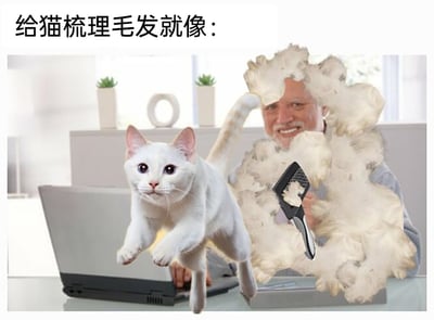 这是一张经过P图合成的搞笑梗图，画面上方配有文字“给猫梳理毛发就像：”。图中一只白色猫咪眼神带着惊慌，正从桌面的笔记本电脑前向前跳跃；猫咪后方的男士面带笑容，手持宠物梳子，他的周围被大量夸张的猫毛团团围住，猫毛的量多到几乎将男士的大半身体遮挡住。这张图用极度夸张的视觉效果，调侃掉毛旺盛的猫咪在梳毛时会产生巨量猫毛的有趣养猫日常，充满了诙谐感。